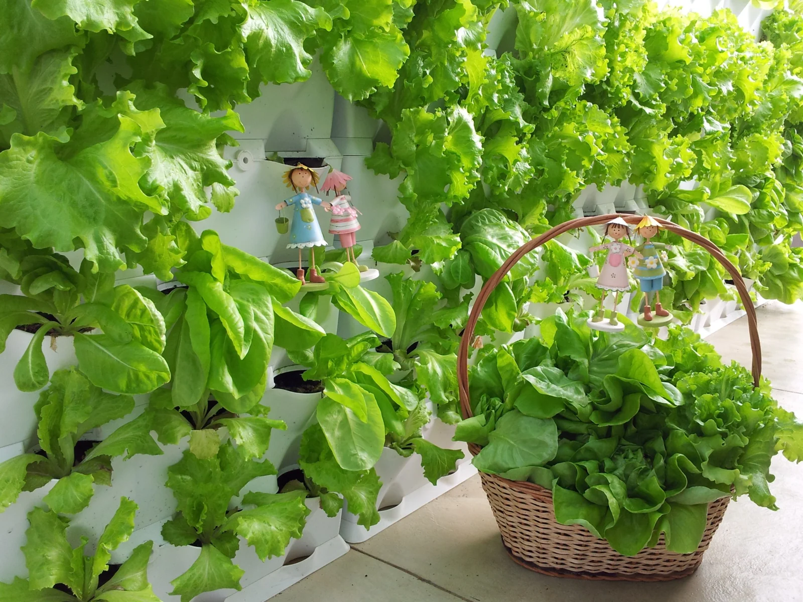 Soft Farming